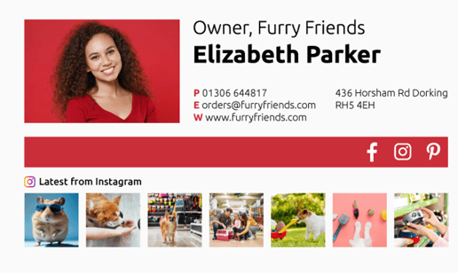 Ecommerce Email Signature